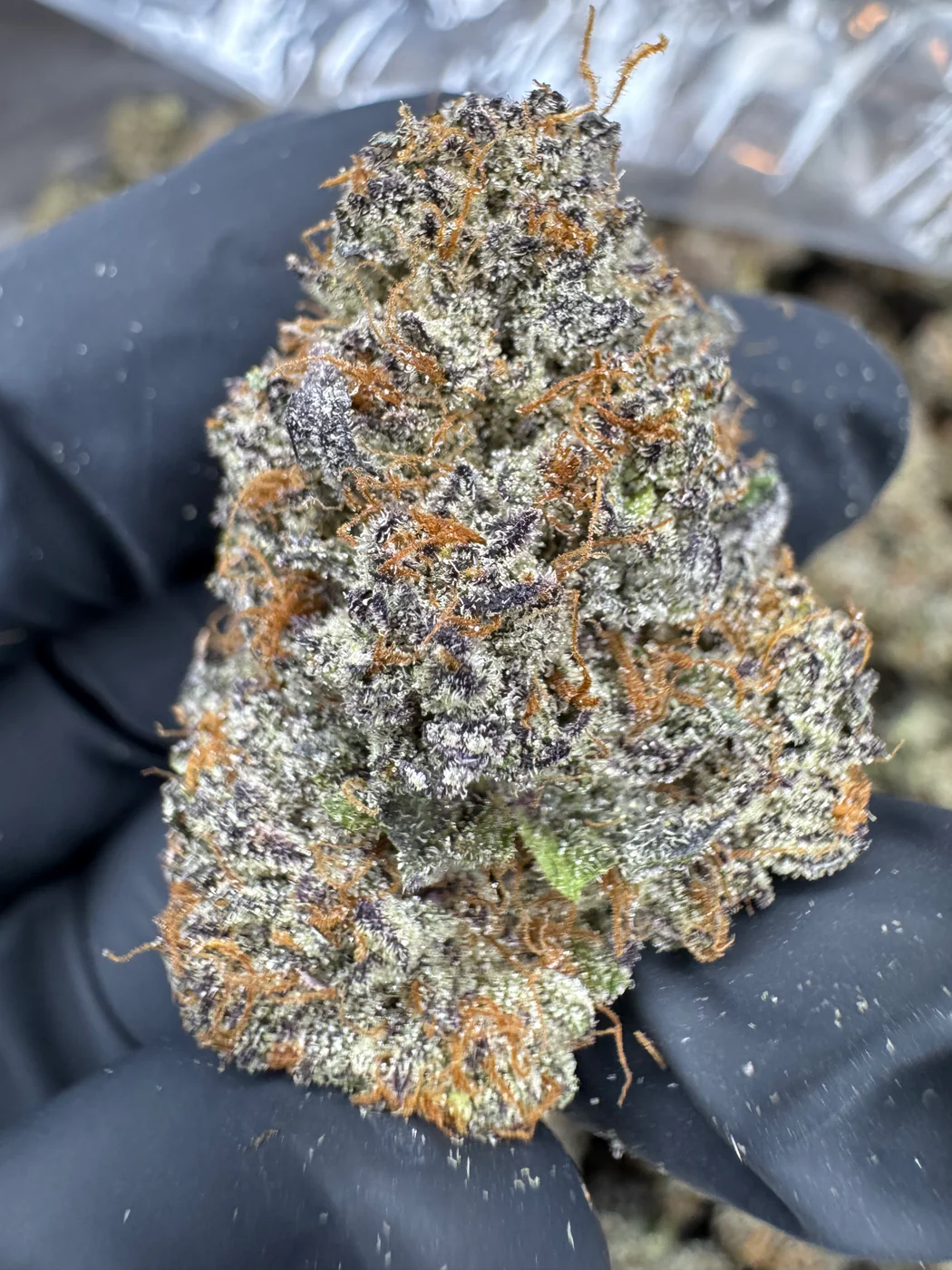 Cereal Milk THCA FLOWER - AAA INDOOR