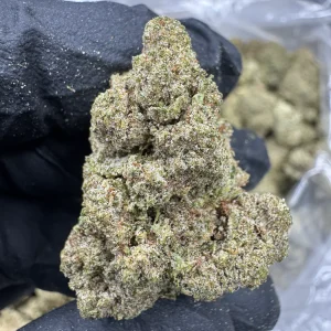 Frozen Lemons - THCP BULK FLOWER