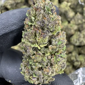 Gelato Cake - THCA FLOWER - TOP SHELF