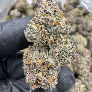 Gumbo THCA FLOWER - EXOTIC INDOOR