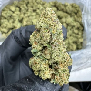White Runtz- THCA FLOWER - TOP SHELF