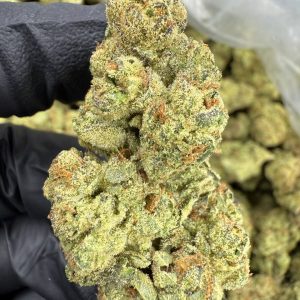 Mule Fuel - THCA FLOWER - TOP SHELF