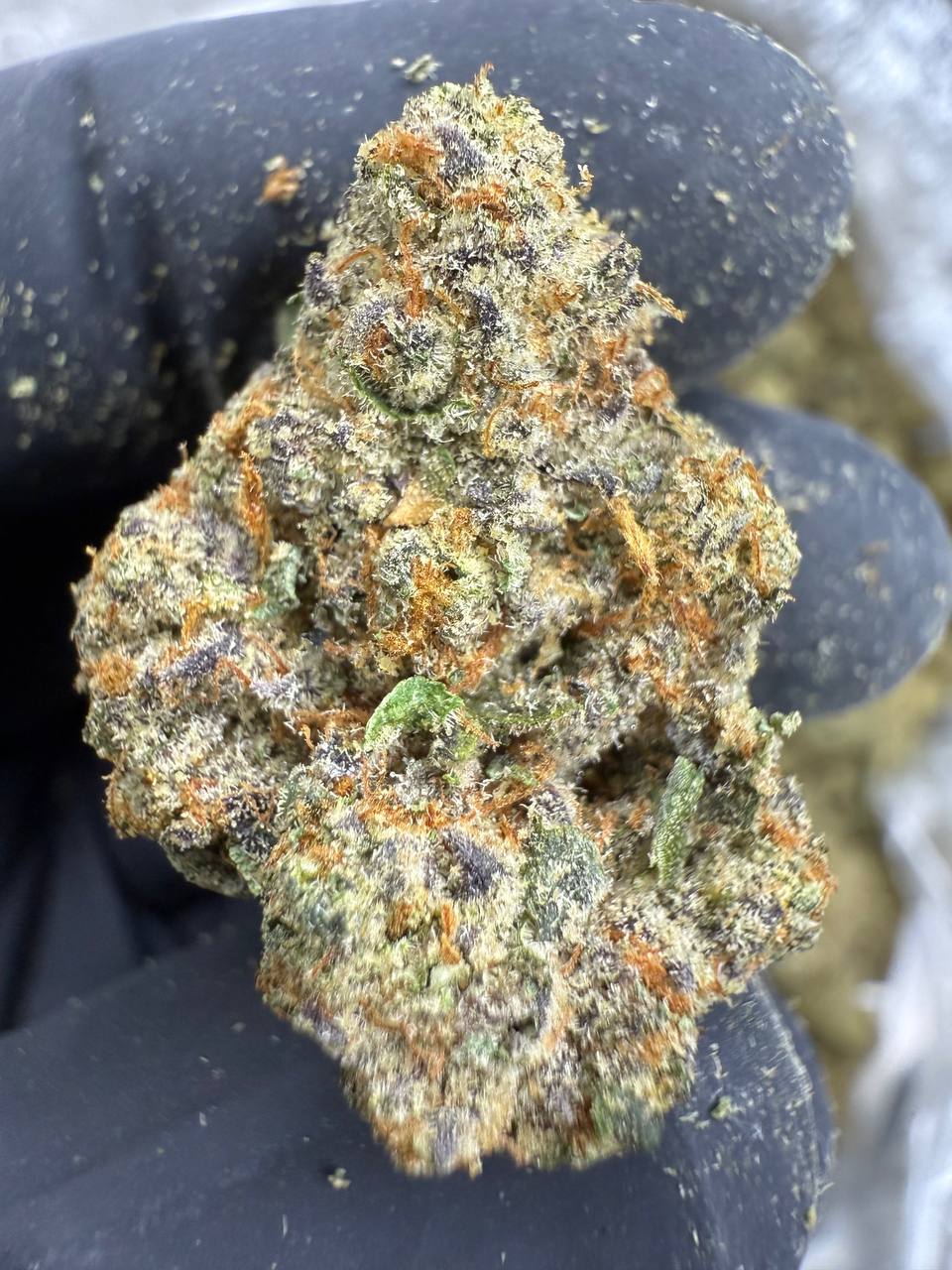 Ooh La La - THCA FLOWER - AAA INDOOR