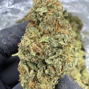 Rainbow Runtz - THCa FLOWER - TOP SHELF