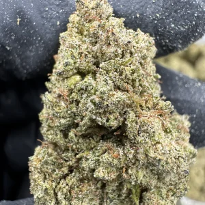 Sour Jack - THCP BULK FLOWER