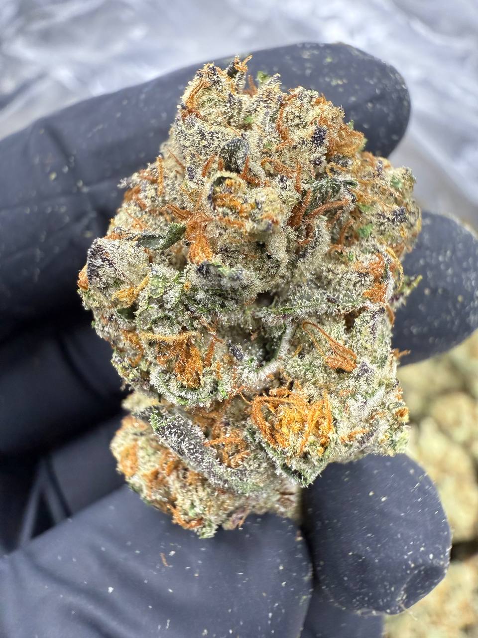 Triple Cake - THCa FLOWER - AA INDOOR