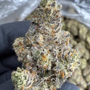 White Chocolate Chip - THCA FLOWER - EXOTIC INDOOR