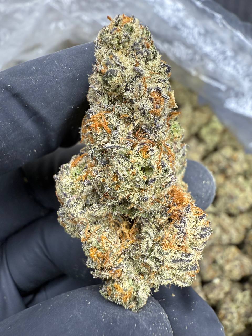 White Truffle - THCA FLOWER - EXOTIC INDOOR